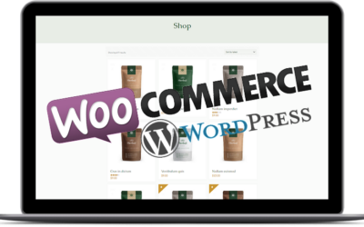 Site WordPress avec boutique WooCommerce