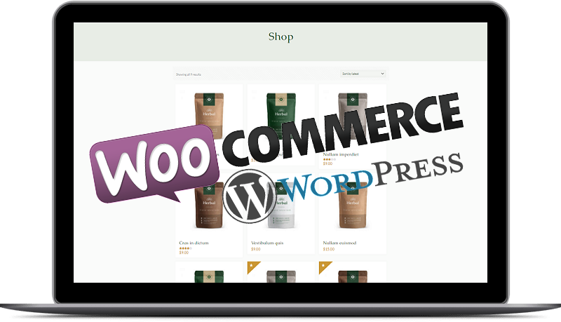 Site e-commerce plus site vitrine - woocommerce plus WordPress - L'Agence Digitaline
