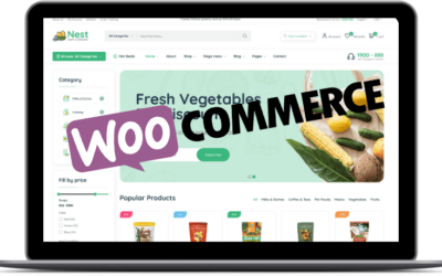 Modèle de boutique WooCommerce seule